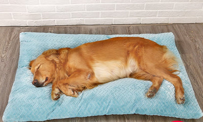 Warm Plush Dog Bed with Quilted Base – Available in 4 Sizes